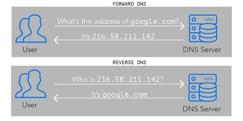 Поиск по dns