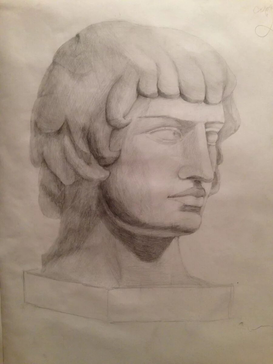 аполлон бельведерский голова рисунок. голова аполлона штиглица. гипсовая голова карандашом. академический портрет гипсовой аполлона. голова аполлона мархи.