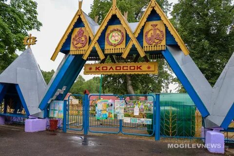 Лагерь колосок