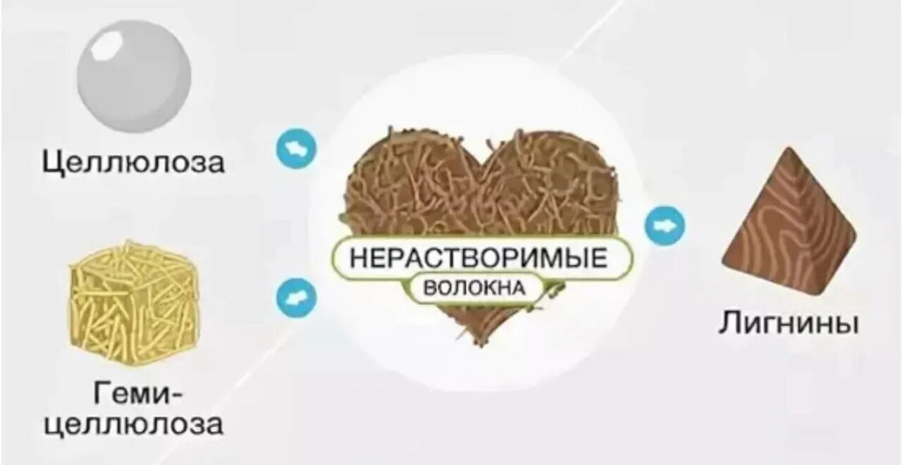 Нерастворимая клетчатка продукты. Клетчатка нерастворимые пищевые волокна. Классификация клетчатки. Пищевые волокна Целлюлоза клетчатка. Растворимая и нерастворимая клетчатка.