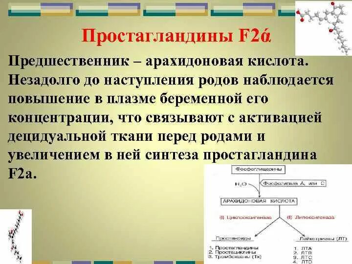 Простагландин f2a. Простагландин f. Предшественник простагландинов. Простагландин f2 функции. Простогландин