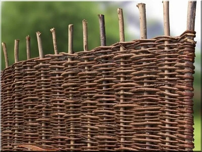 Ивовая изгородь плетень. Тын тырырын тын. Декоративный плетень. Изгородь из веток. Плетеная ограда.