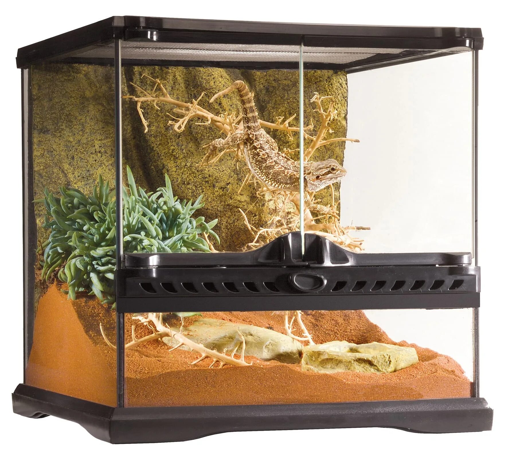 Что такое террариум. Акватеррариум, сборный Repti Zoo rh2803. EXO Terra террариум 30x30x30. EXO Terra 30х30х30. Террарриум EXO Terra EXO-Terra natural Terrarium 90х45х45см.