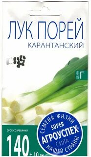 Лук порей карантанский