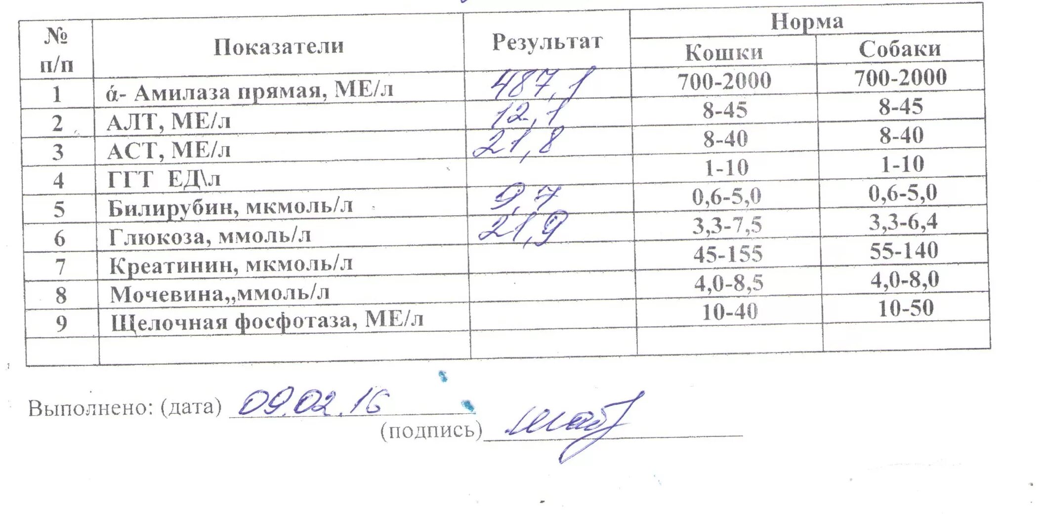 Что такое аст в крови у мужчин. Алт крови норма/АСТ норма. Нормальные показатели алт АСТ В крови анализы. Показатель нормы алт в крови у беременных. Показатели анализов АСТ И алт норма.