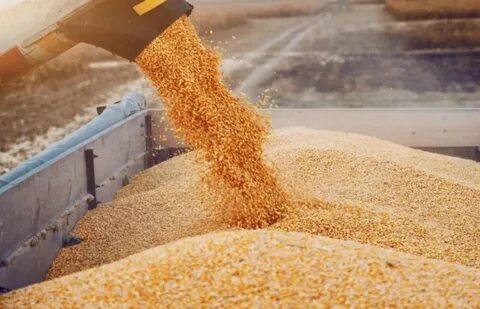 Зерновая продукция