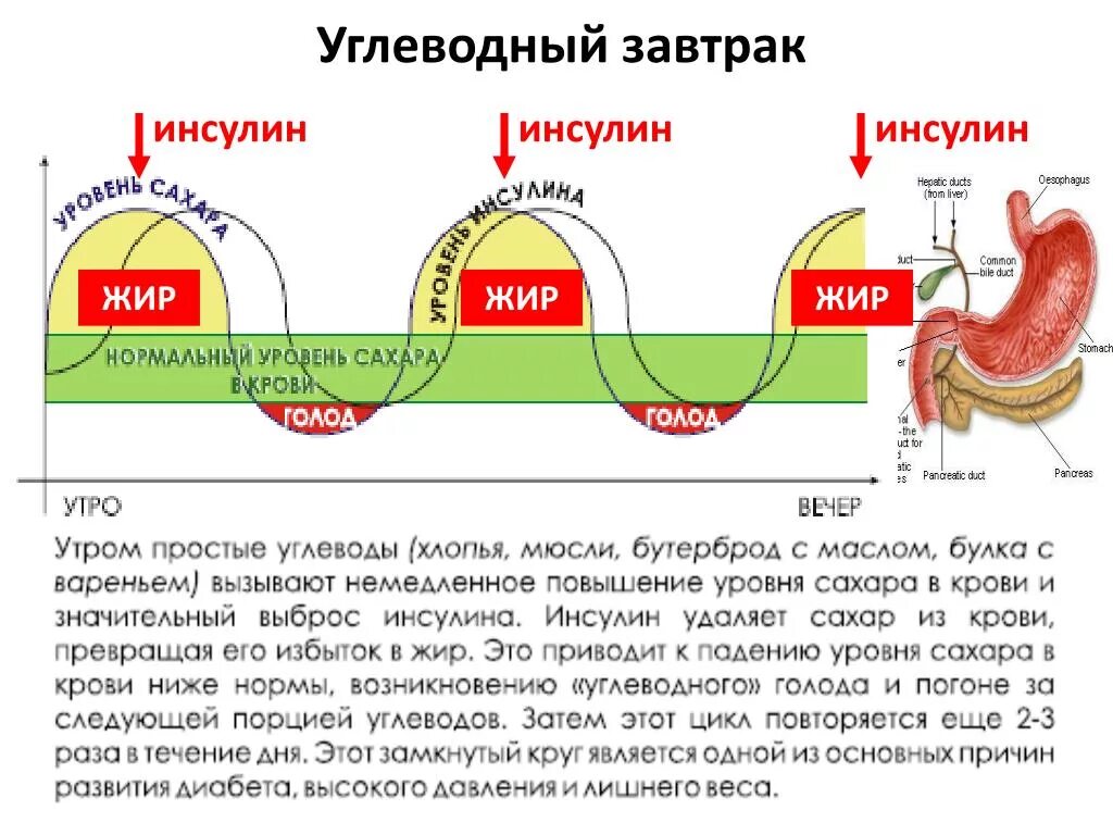 Скачку инсулина