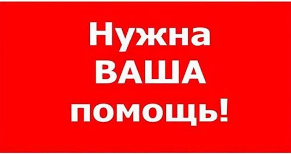 Просим помочь. Нужна ваша помощь. Прошу помощи. Внимание нужна ваша помощь. Просим помощи надпись.