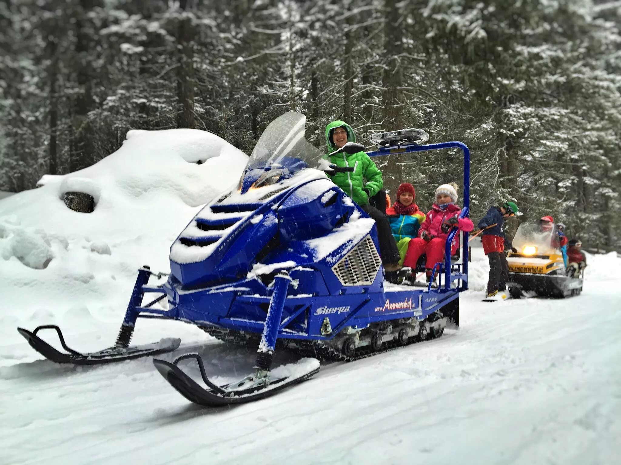 Купить снегоход альпина 2. Снегоход Alpina Sherpa. Снегоход Alpina snowmobiles. Снегоход Alpina Sherpa 4-stroke. Снегоход Альпина 2.