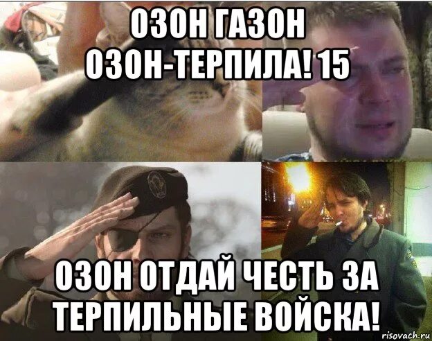 Озон терпит