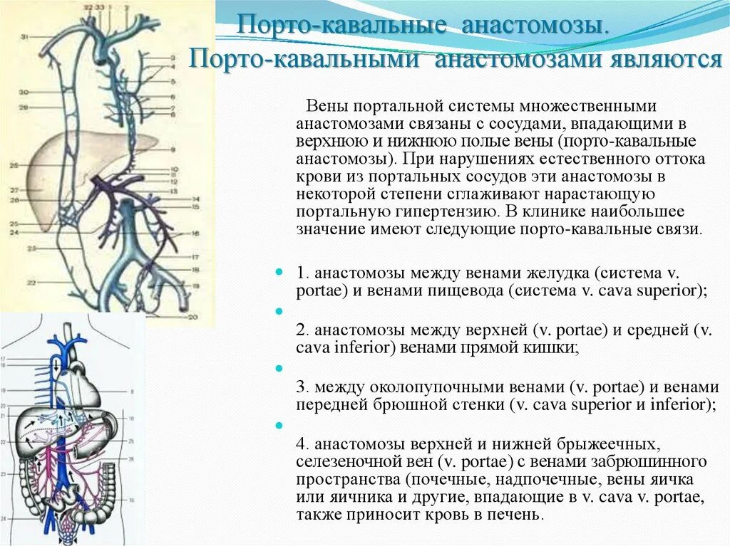 Схема кава кавальных анастомозов. Кавакавальные анастомозы схема. Порто портальный. Нижняя брыжеечная вена анастомозы. Порто портальный.