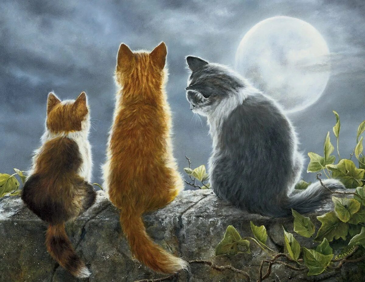 Мир котик. Художник shirley deaville. shirley deaville котики. shirley deaville картины. мир котиков.