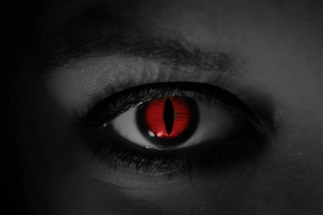 Красные глаза в темноте.