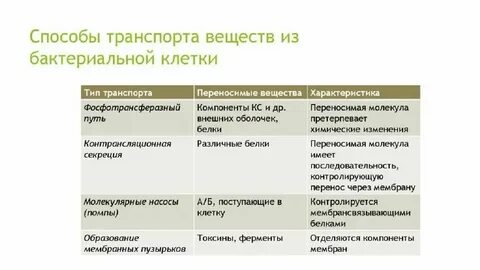 Транспорт в бактериальную клетку