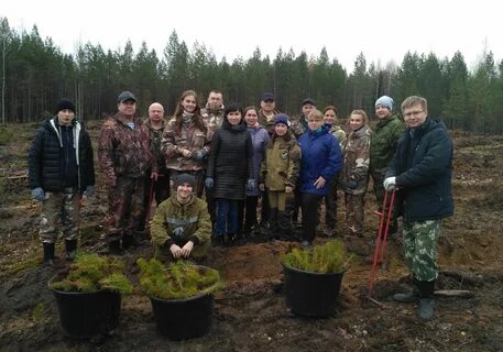 Уржумское лесничество марий эл