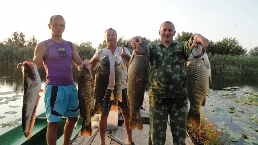 Погода в сокрутовке астраханской области. Рыболовная база Золотая рыбка. Золотая рыбка Ахтуба. База Золотая рыбка Бронницы. База Золотая рыбка Ахтуба.