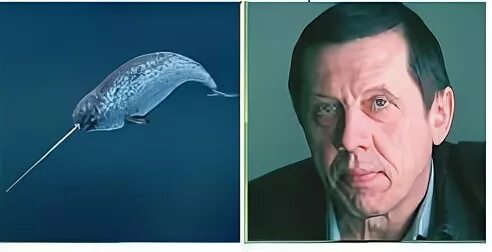 Рыба 8 букв третья р пятая ф