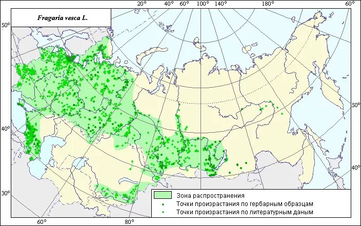 аллопатрическое и симпатрическое видообразование. ареал распространения сосны обыкновенной в россии. ареал распространения ландыша. ареал ландыша. перепел ареал обитания.