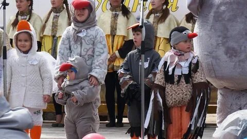 Погода 10 дней гусе