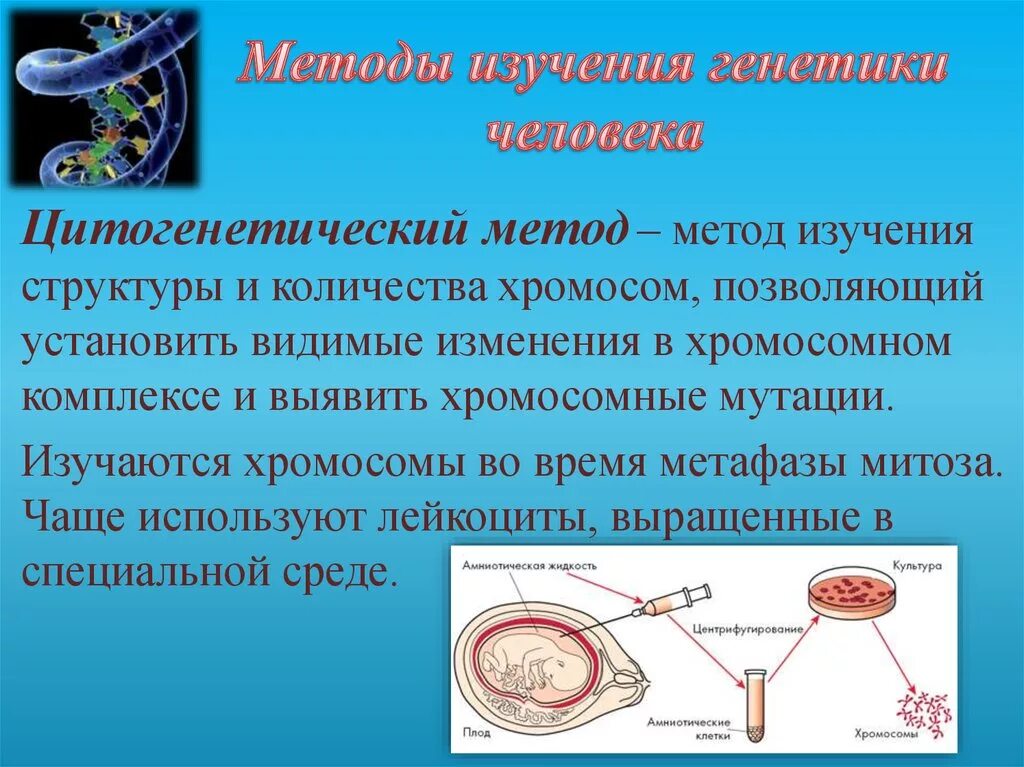 Биохимический цитогенетический метод