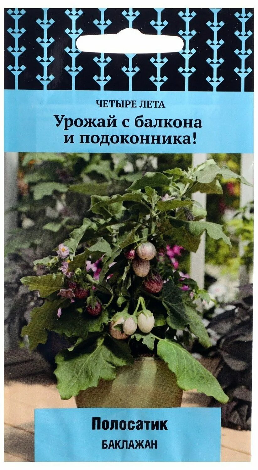 Четыре лета купить. Семена четыре лета. Баклажан медальон четыре лета. Балконные баклажаны. Балконные семена баклажанов.