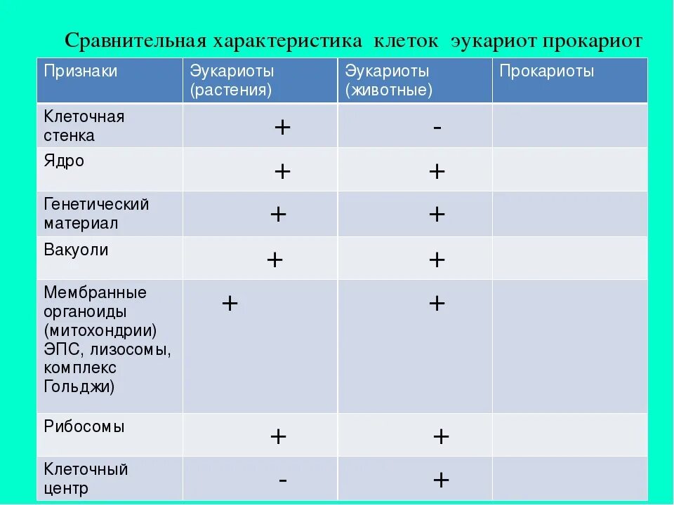 Установи соответствие между группами бактерий. Таблица 3 сравнение клеток прокариот и эукариот. Сравнение клеток эукариот таблица. Сравните строение клеток прокариот и эукариот и заполните таблицу. Сравнение клеток прокариот и эукариот таблица 9 класс.