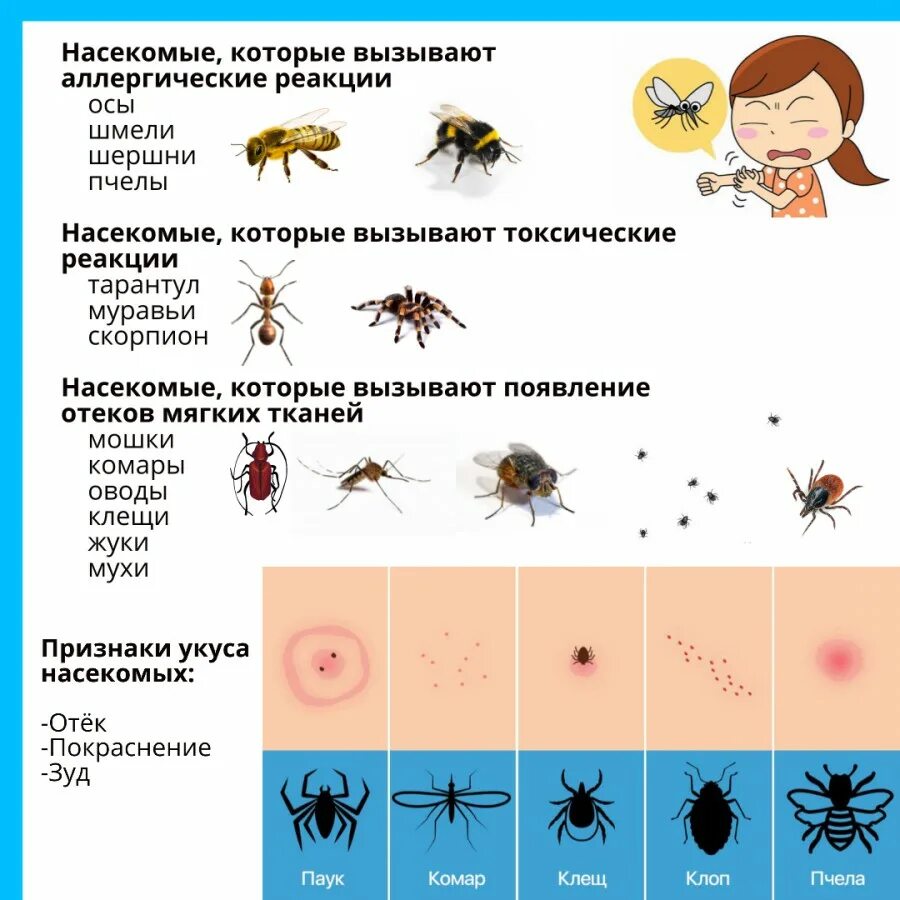 Какое заболевание через укус может распространять кошка. Укусы различных насекомых.