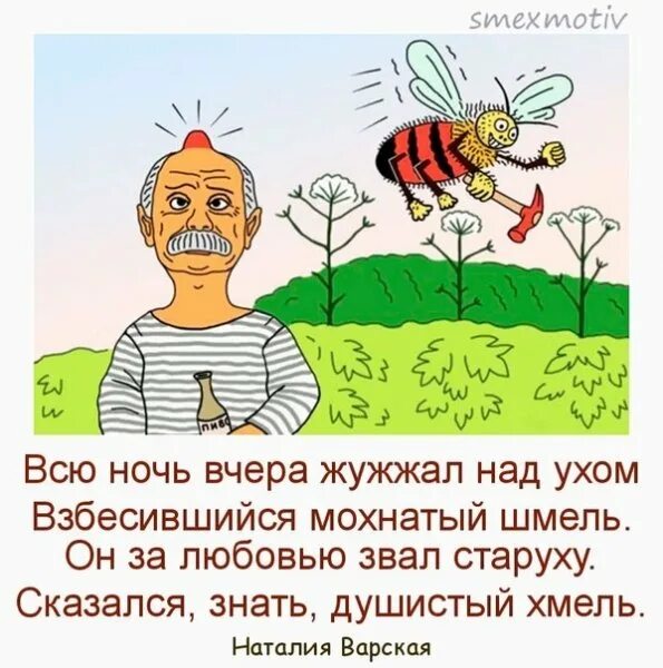 Михалков душистый хмель