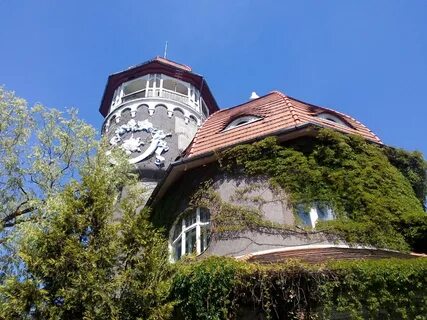 Цветы светлогорск калининградская область