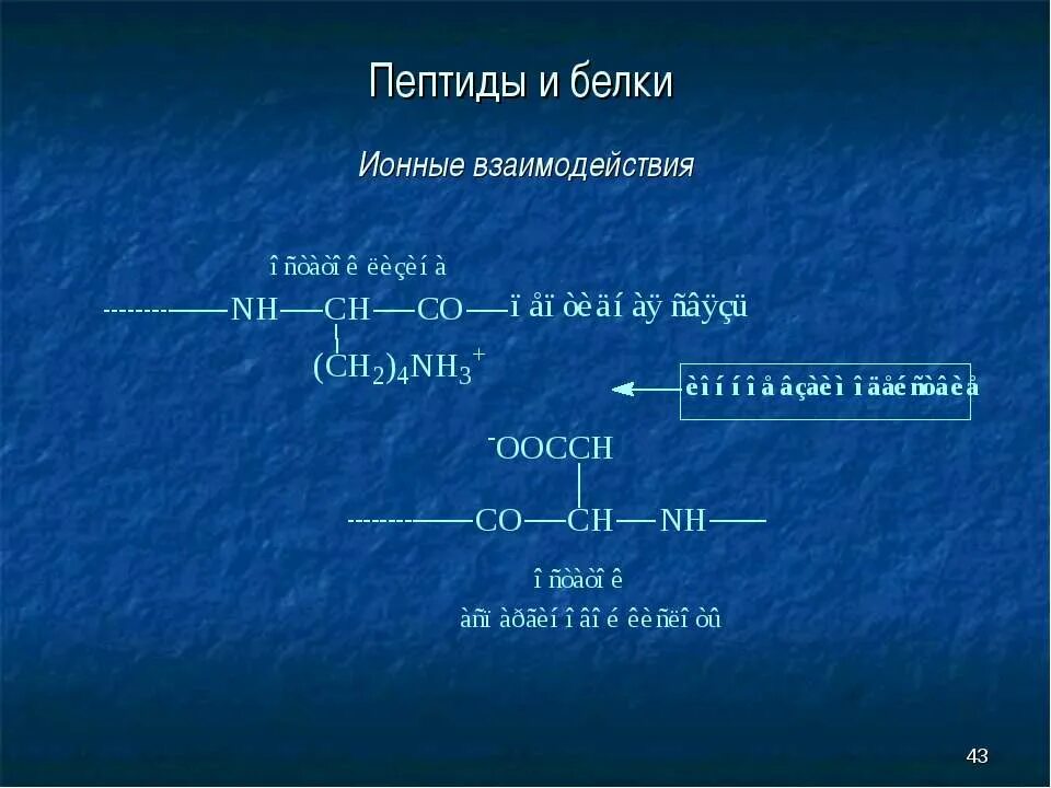 Полипептиды свойства. Пептиды и белки. Формула белка. Ионные взаимодействия аминокислот. Взаимодействие белков и пептидов.