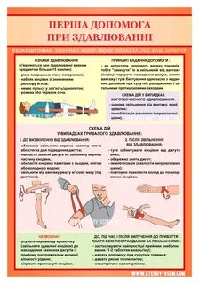 Оказание помощи при сдавливании конечности
