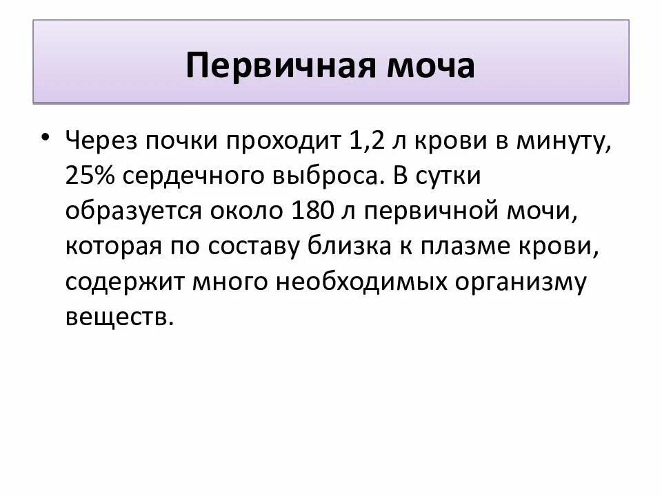 Первичная моча за сутки у человека. Первичная моча это жидкость.