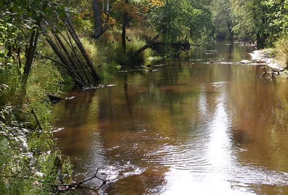 Солотча (река). Река красная Солотча река. Река в Солотче Рязань. Водоемы Рязанской области Солотча.