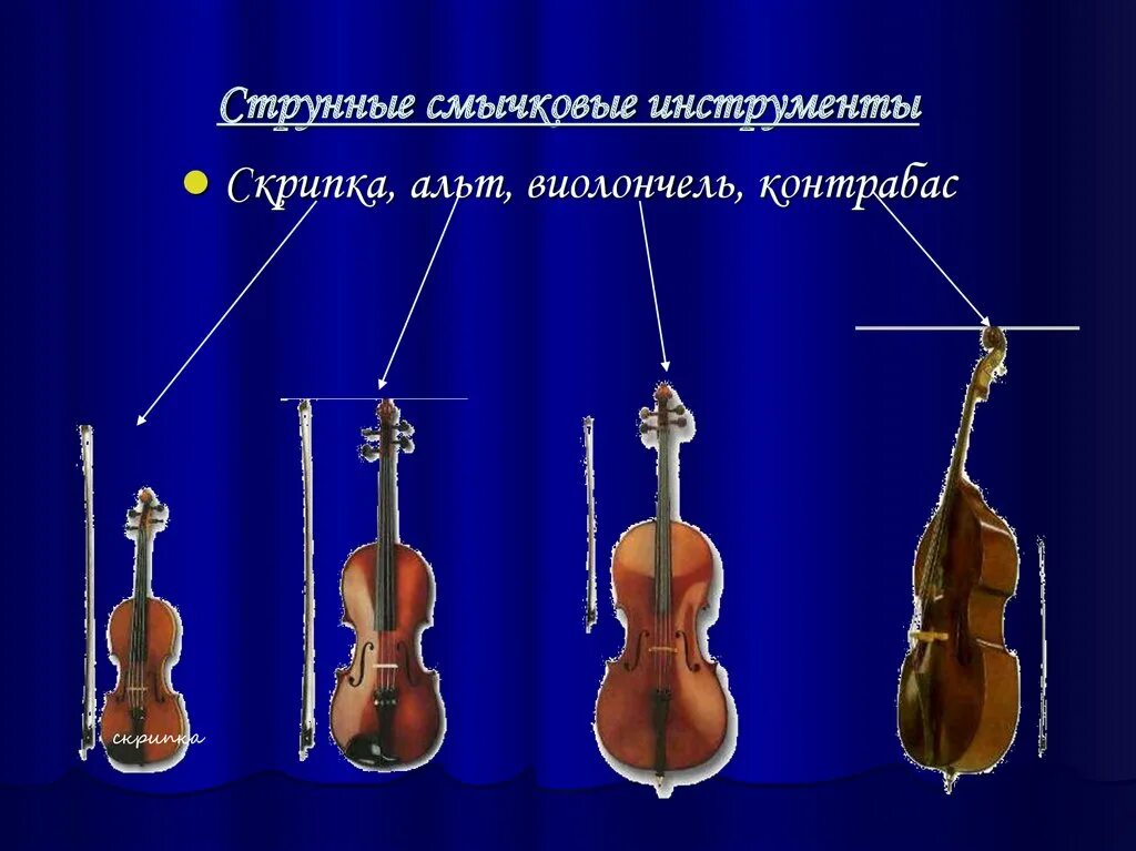 Типы скрипок. Струнные смычковые инструменты Альт. Струнные смычковые инструменты скрипка Альт. Струнные инструменты скрипка Альт контрабас. Струнные смычковые инструменты скрипка Альт виолончель контрабас.