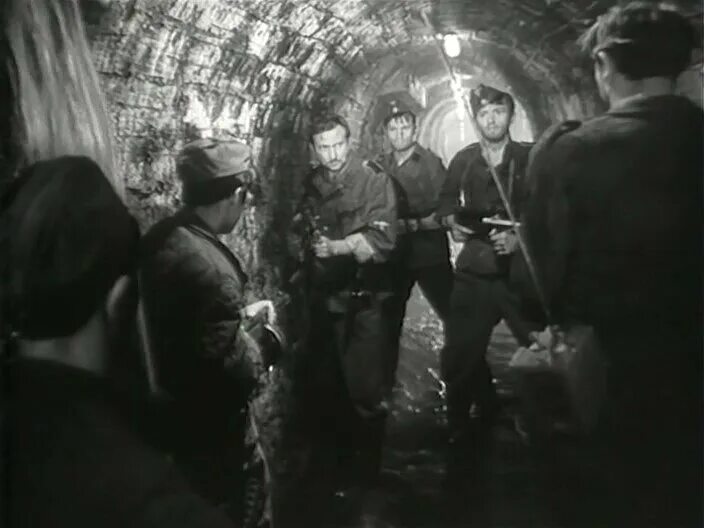 Проверено мин нет 1965. Проверено мин нет 1965