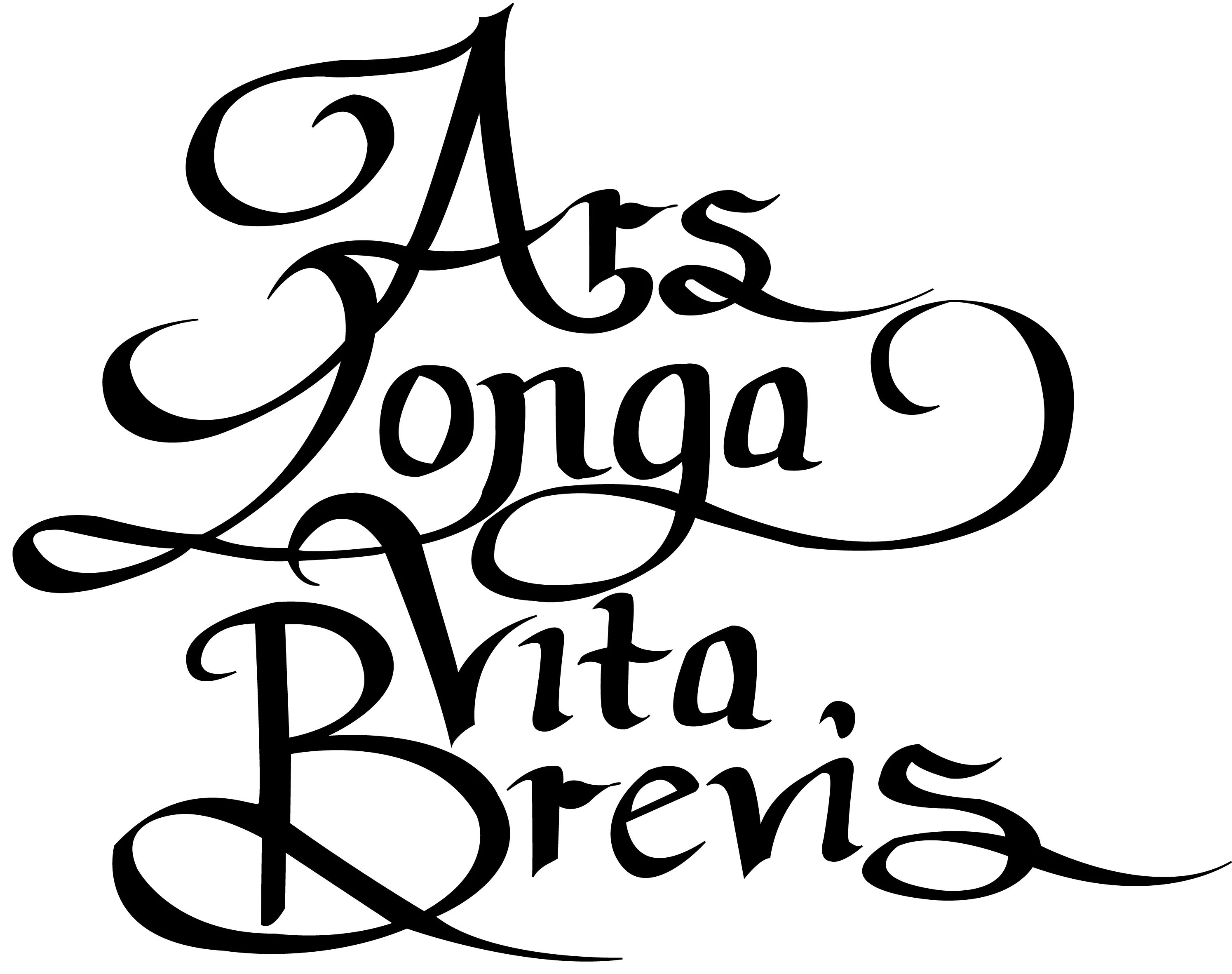 Vita brevis est. Vita Brevis ARS longa. Vita Brevis, ARS longa. Жизнь коротка, искусство - вечно. ARS longa Vita Brevis надпись. Жизнь коротка искусство вечно на латыни.