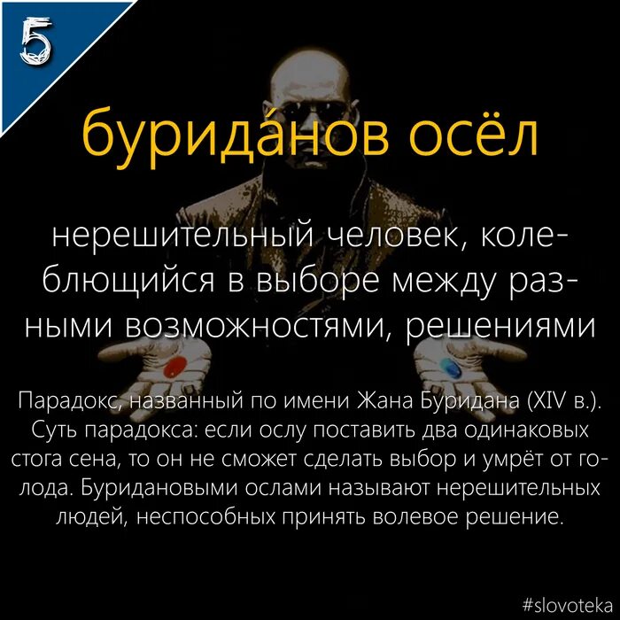 Как называется запах земли после