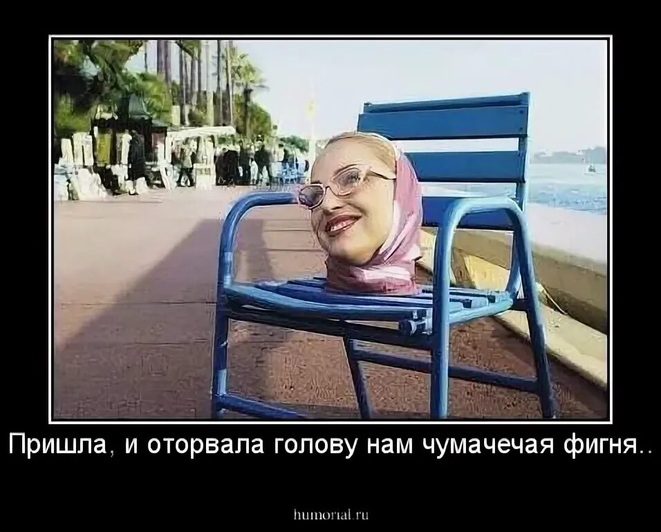 Дурная голова пословица