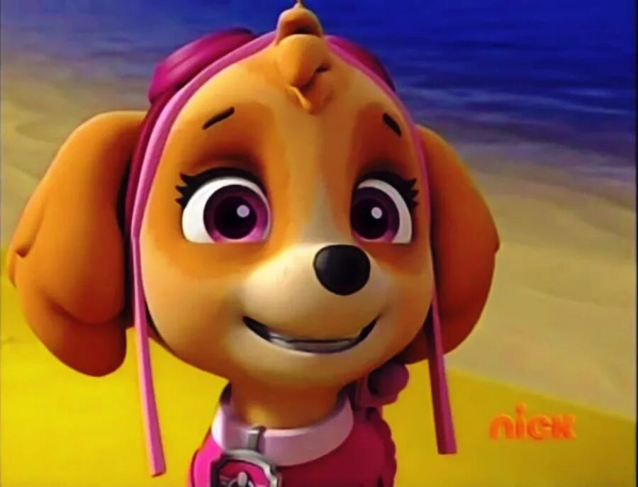 щенячий патруль. щенячий патруль персонажи. щенячий патруль. включи скай щенячий. скай.