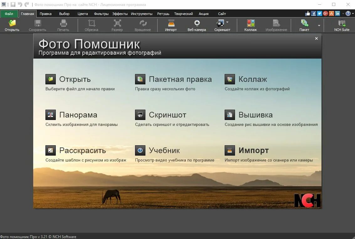 PHOTOPAD image Editor. Windows image Editor.