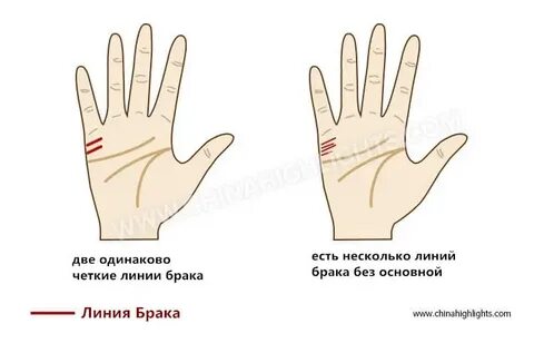 Как по руке узнать сколько