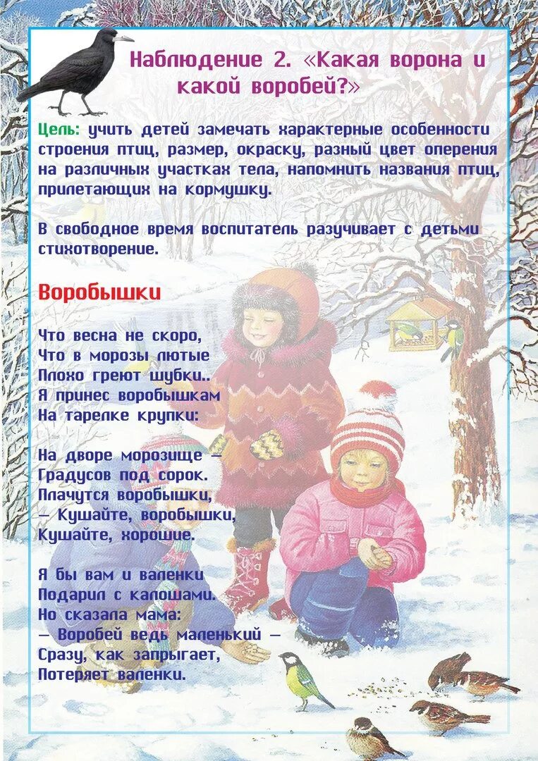 Прогулка тема птицы. Консультация для родителей наблюдение за птицами. консультация для родителей зимующие птицы. наблюдение за природой зимой. консультация на тему зимующие птицы.