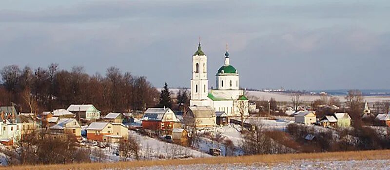 Храм василия великого (борисовское). Борисовское (владимирская область). Тверская область село борисовское. Церковь василия великого в борисовском. Село борисовское суздальского.
