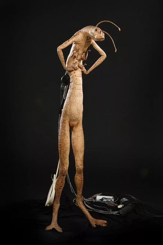 10 Things You Didn't Know About Men In Black