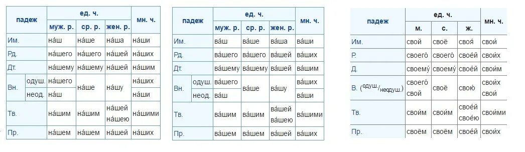 Местоимения мой твой наш ваш свой изменяются. Ваш падеж. Склонение притяжательных местоимений. Склонен притяжательных мест. Ваш какой падеж.