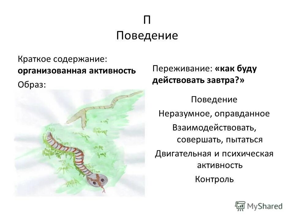 Света краткое содержание