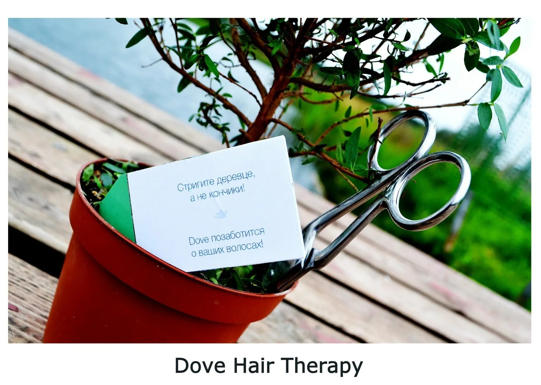 центр ежедневной заботы о мужьях спб. полезные привычки. векторные иллюстрации йога. ежедневных забот. счастливая девушка.