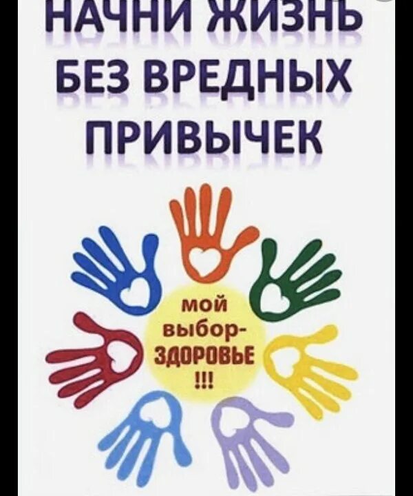 Жизнь без вредных привычек. Здоровый образ жизни без вредных привычек. мы за жизнь без вредных привычек. здоровый образ жизни против вредных привычек.