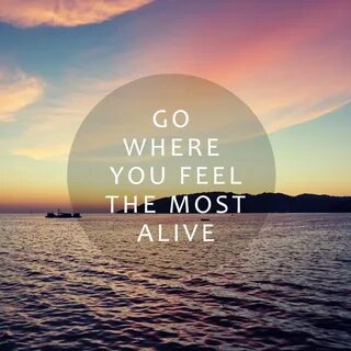 Good Morning!Where do you feel most alive?Travel with Jumia!Book All Your F...
