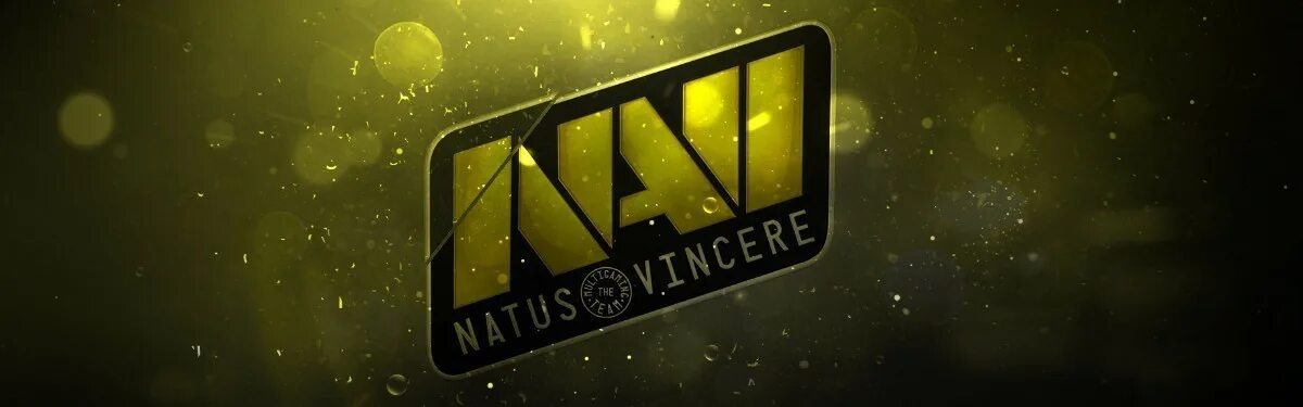 Natus vincere pain gaming. Navi. Картинка нави. Шапка нави. Обложка нави.